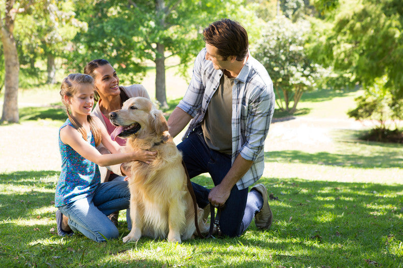 We're Changing Pet Care For Good